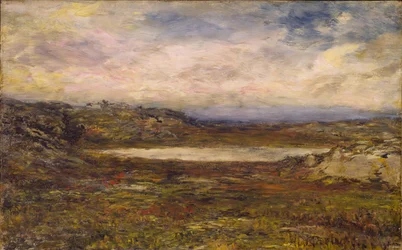 Wilde Küste, Newport