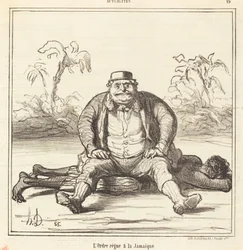 Die Ordnung herrscht in Jamaika