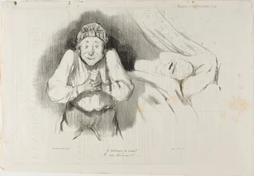 Missbrauch von Artikel 214 des Zivilgesetzbuches. "Meine Dame Frau, Sie lassen mich an allem Mangel leiden, Sie gewähren mir nur eine erbärmliche Rente von dreitausend Francs, Sie werfen mich wie einen Bettler aus Ihrer Tür, und außerdem wollen Sie mich au