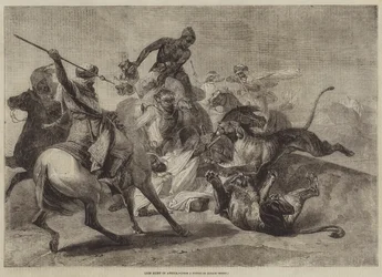 Löwenjagd in Afrika