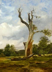 Der zerstörte Baum, ca. 1838