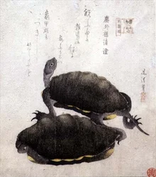 Shinobazu-Teich, aus der Serie 