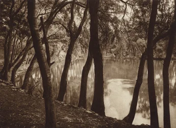 Mexiko: Die Brunnen von Tlalpam D F