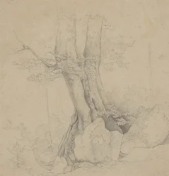 Baum und Felsen