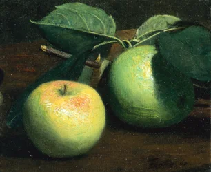 Zwei Äpfel
