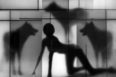 Schatten einer Frau und eines Wolfs