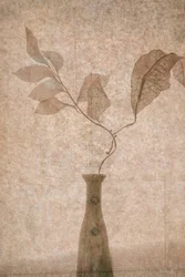 Zarte Sepia-Botanicals
