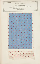 Musselinprobe mit goldenen Blumen bedruckt aus Jeypore in Rajpootana States, aus The Collection of the Textile Manufacturers of India, von John Forbes Watson, veröffentlicht 1866