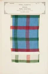 Baumwollkaro-Probe aus Mylapore in Madras, aus The Collection of the Textile Manufacturers of India, von John Forbes Watson, veröffentlicht 1866