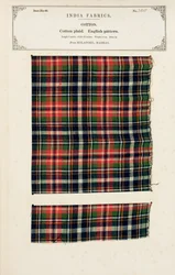 Baumwollprobe mit Chetee (Chintz) Druck aus Arcot in Madras, aus The Collection of the Textile Manufacturers of India, von John Forbes Watson, veröffentlicht 1866