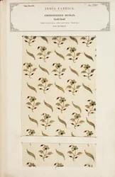 Bunte Karomusselinprobe aus Arnee in Madras, aus The Collection of the Textile Manufacturers of India, von John Forbes Watson, veröffentlicht 1866