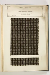 Material für Pantalons, Loodiana, Punjab, Stückwaren, aus der Sammlung der Textilhersteller Indiens, von John Forbes Watson, veröffentlicht 1866