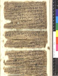 Fragmente eines Birkenrindenmanuskripts in Kharoṣṭhī