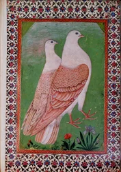 Orientalische Kunst: Zwei Tauben