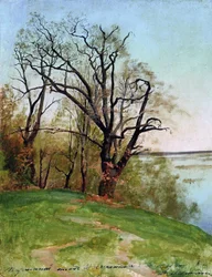 Eiche am Flussufer, 1887