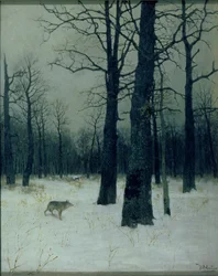 Wald im Winter