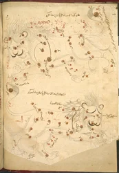 Zwei Löwen, Illustration aus 