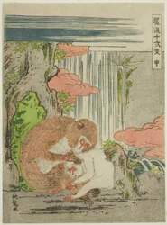 Affe (Saru), aus der Serie "Modische zwölf Tierkreiszeichen (Furyu juni shi)"