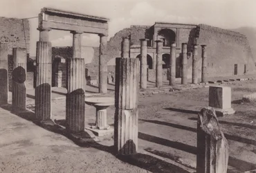 Triangulares Forum