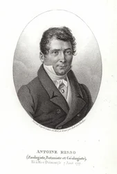 Antoine Risso