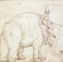 Elefant Hanno und sein Mahout