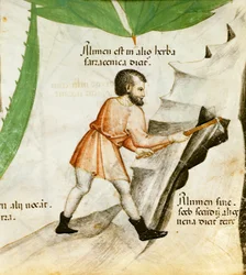 Alaunextraktion, ca. 1440