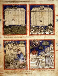 Arche Noah, Miniatur aus Codex 212 (oder Padovano Codice oder Bibel von Padua) 1390-1400 Rovigo, Accademia dei Concordi