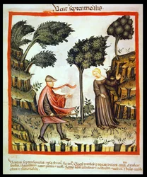 Nova 2644 fol.58v Der Nordwind, aus Tacuinum Sanitatis