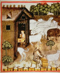 Nova 2644 fol.59r Schafzucht: Süße Milch, aus Tacuinum Sanitatis
