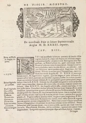 Seite 742 aus Historia De Gentivus Septentrionalibus von Magnus Olaus, Rom 1565