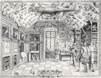 Das Naturkundemuseum von Kaiser Ferdinand III aus Historia Naturale von Ferrante Imperato, veröffentlicht 1672