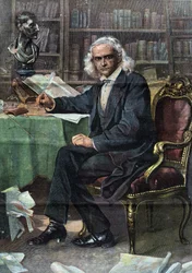 Theodor Mommsen, deutscher Historiker und Politiker (Nobelpreis für Literatur 1902) - in 