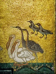 Verschiedene Vögel