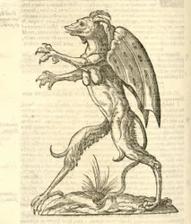 Illustration von Monstrum alatum, & cornutum instar Cacodaemonis aus Aldrovandis Geschichte der Ungeheuer, 1642