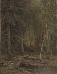 Hinterland