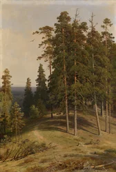 Der Kiefernwald, 1895