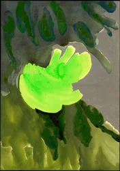 Kensington Gardens Serie: Leaf Cascade, 2007