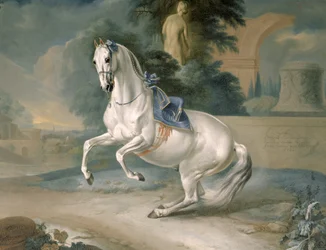 Der weiße Hengst „Leal“ in der Levade, 1721