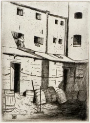 Waschbären-Gasse