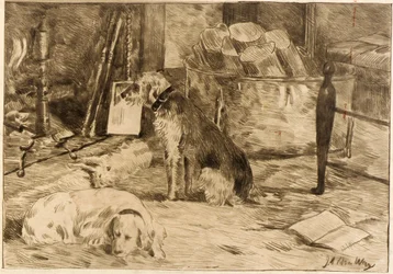 Hunde am Herd Nr. 1