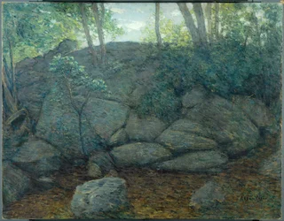 Felsen im Wald