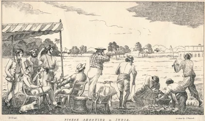 Taubenschießen in Indien