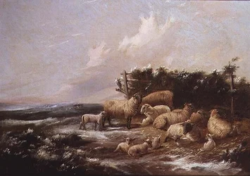 Die Lammzeit