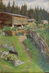 Junger Junge auf der Sommerweide