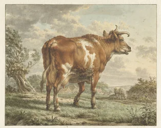 Rotbunte Kuh in einer Landschaft