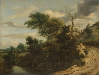 Sandweg in den Dünen