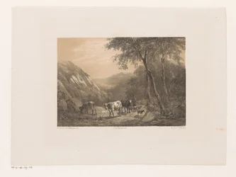 Hirte mit Herde in den Bergen