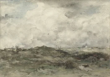 Dünenlandschaft