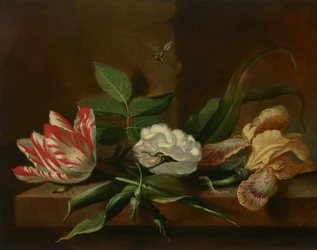 Ein Papageientulpe, eine Rose, eine Iris und Insekten auf einem Holztisch