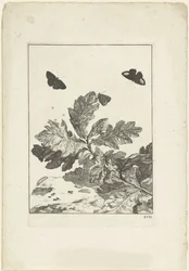 Fliegende Schmetterlinge und andere Insekten über einem Zweig mit Blättern